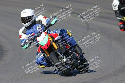 media/Dec-18-2022-SoCal Trackdays (Sun) [[8099a50955]]/Turns 9 and 10 Set 1 (1045am)/